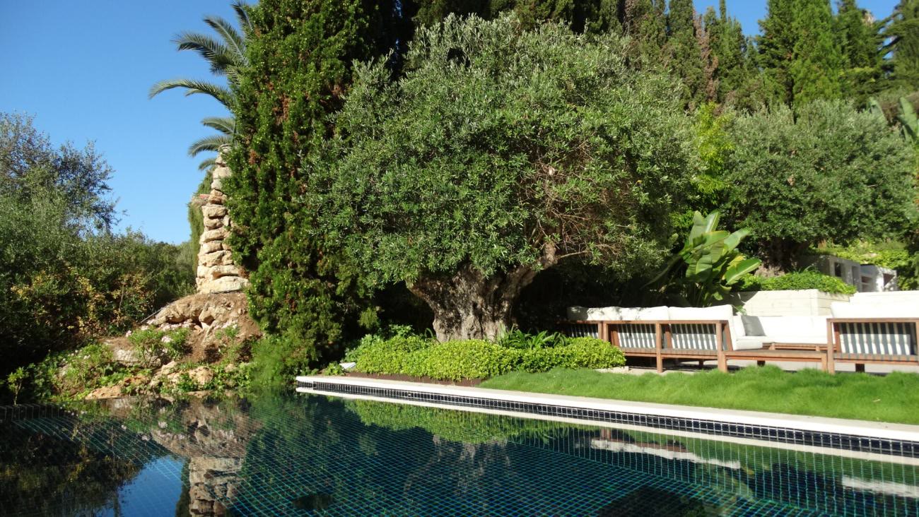 Piscina desbordante rodeada de vegetación en una finca de La Reserva